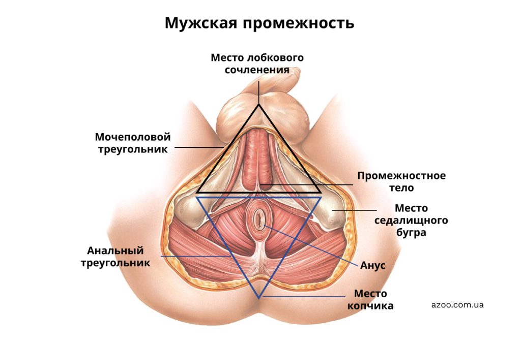 боли в промежности у мужчин